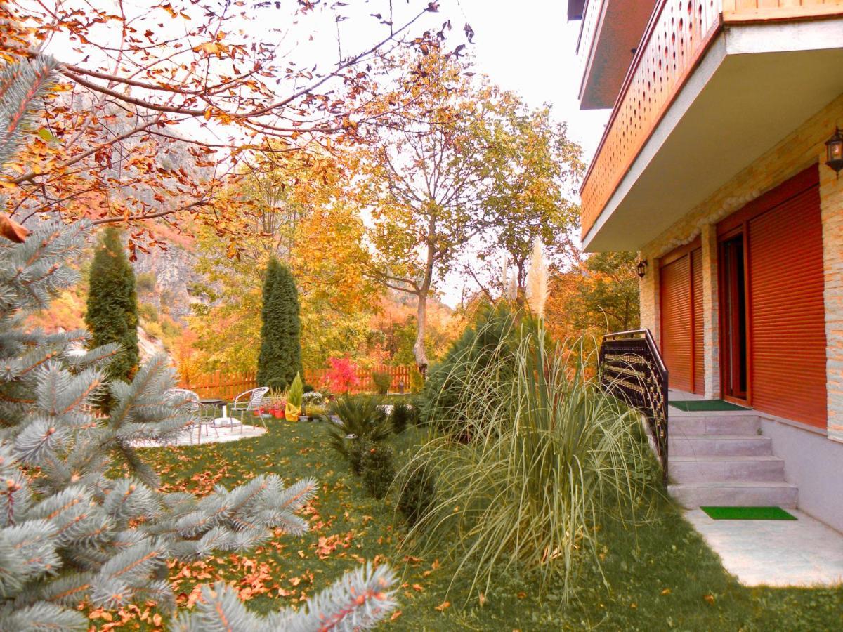 Vila Alexander B&B Valbone Buitenkant foto