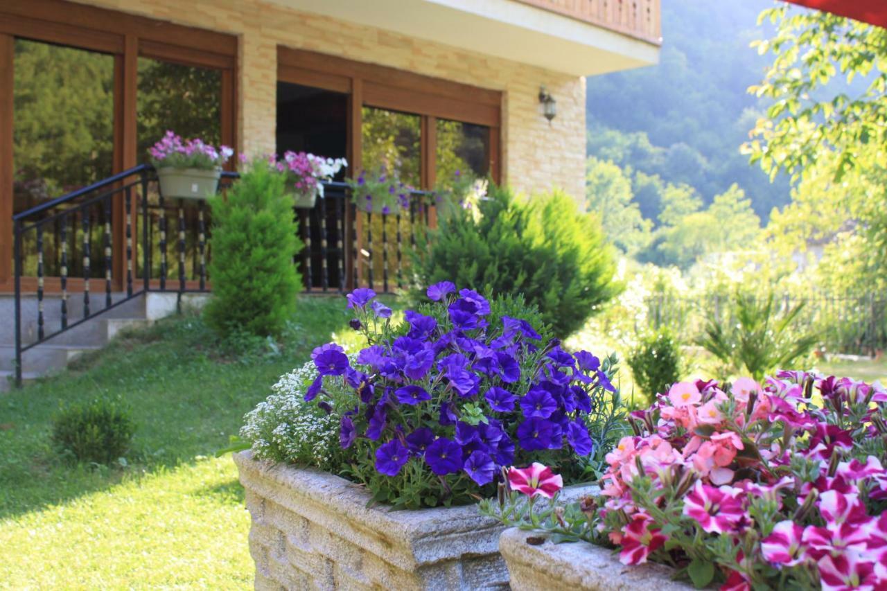 Vila Alexander B&B Valbone Buitenkant foto